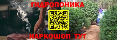PSILOCYBIN Дубна