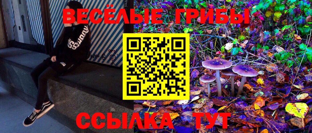 Псилоцибиновые грибы Psilocybine cubensis  Псилоцибиновые грибы MAGIC MUSHROOMS  Ялуторовск  Вход с VPN 
