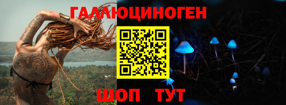 Псилоцибиновые грибы GOLDEN TEACHER Ялуторовск